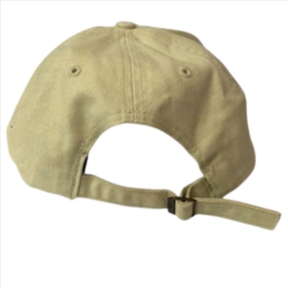 💚 Nike N-71 Adjustable Cap - Picture 2 of 3